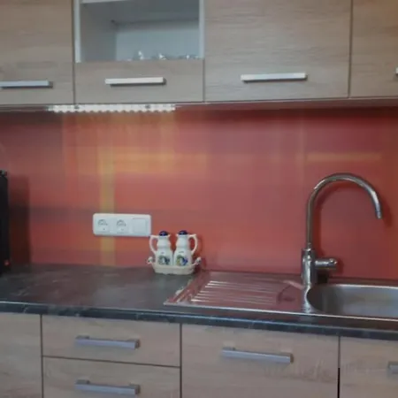Grosse Ferienwohnung Pirna