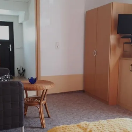 Apartment Grosse Ferienwohnung Pirna